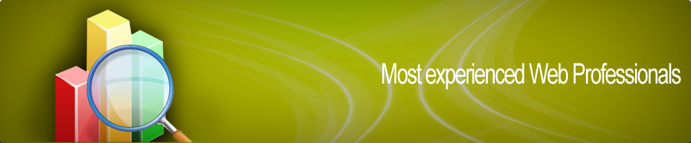 search engine optimization dubai